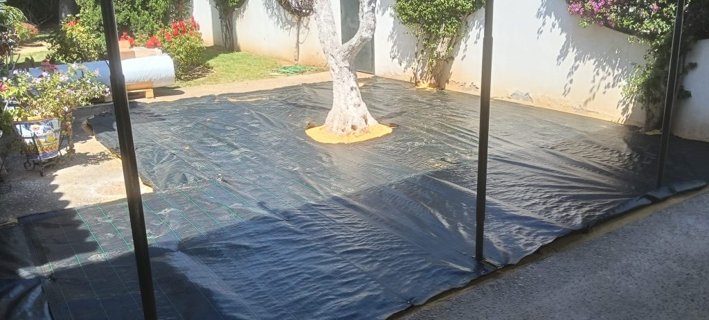 Preparación con malla antihierba junto a árbol - Limcesped Sevilla